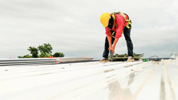 Best Solar Panel Roofing Installation  in East Valley, NV